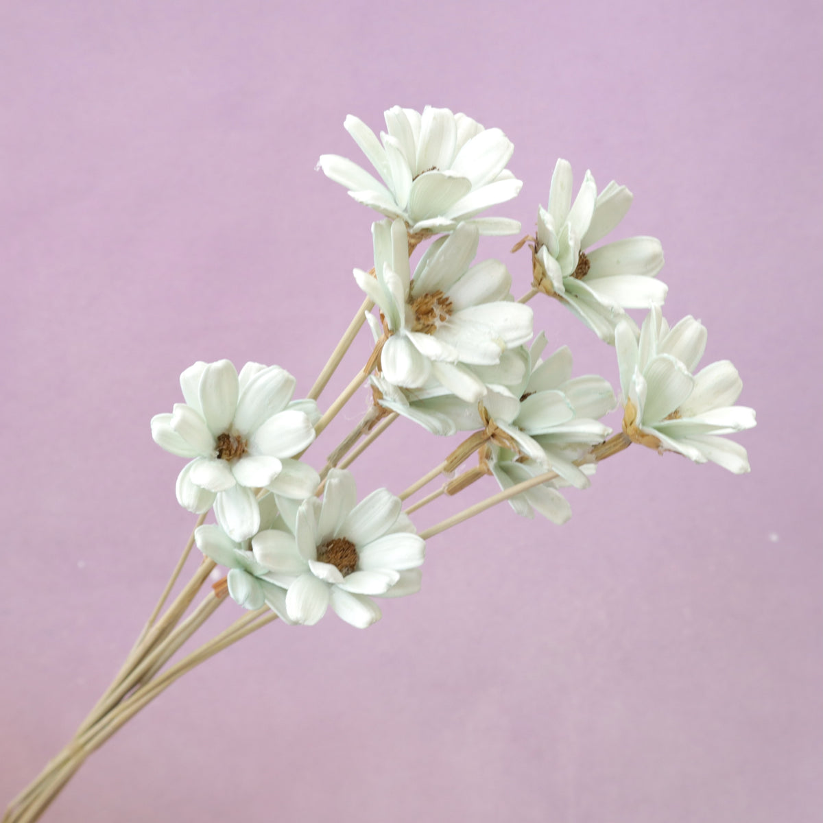 Handmade Daisy Pastel Green