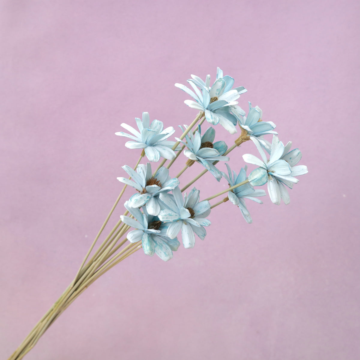 Handmade Daisy Baby Blue