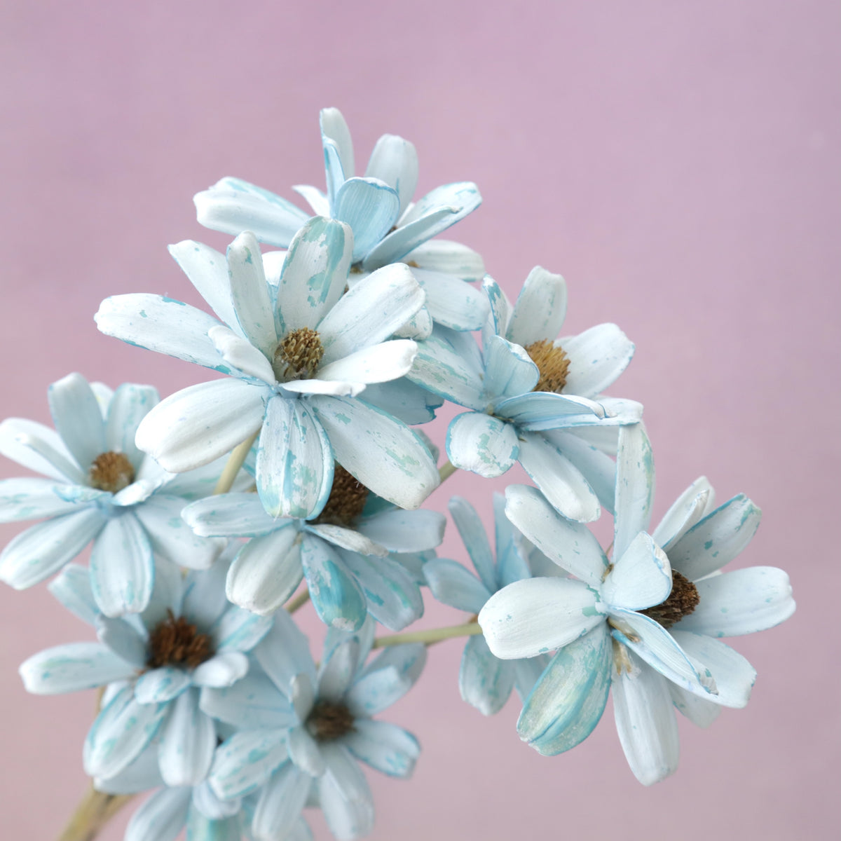 Handmade Daisy Baby Blue
