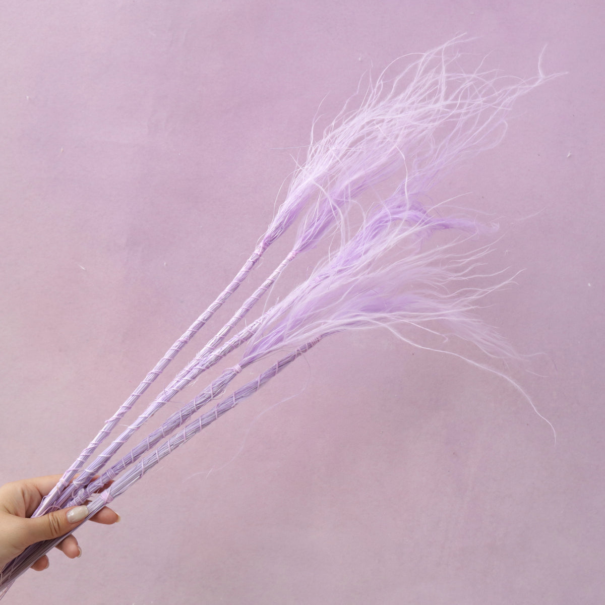 Long Stem Feather Grasses Mauve