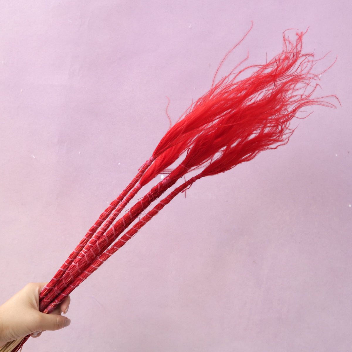 Long Stem Feather Grasses Red