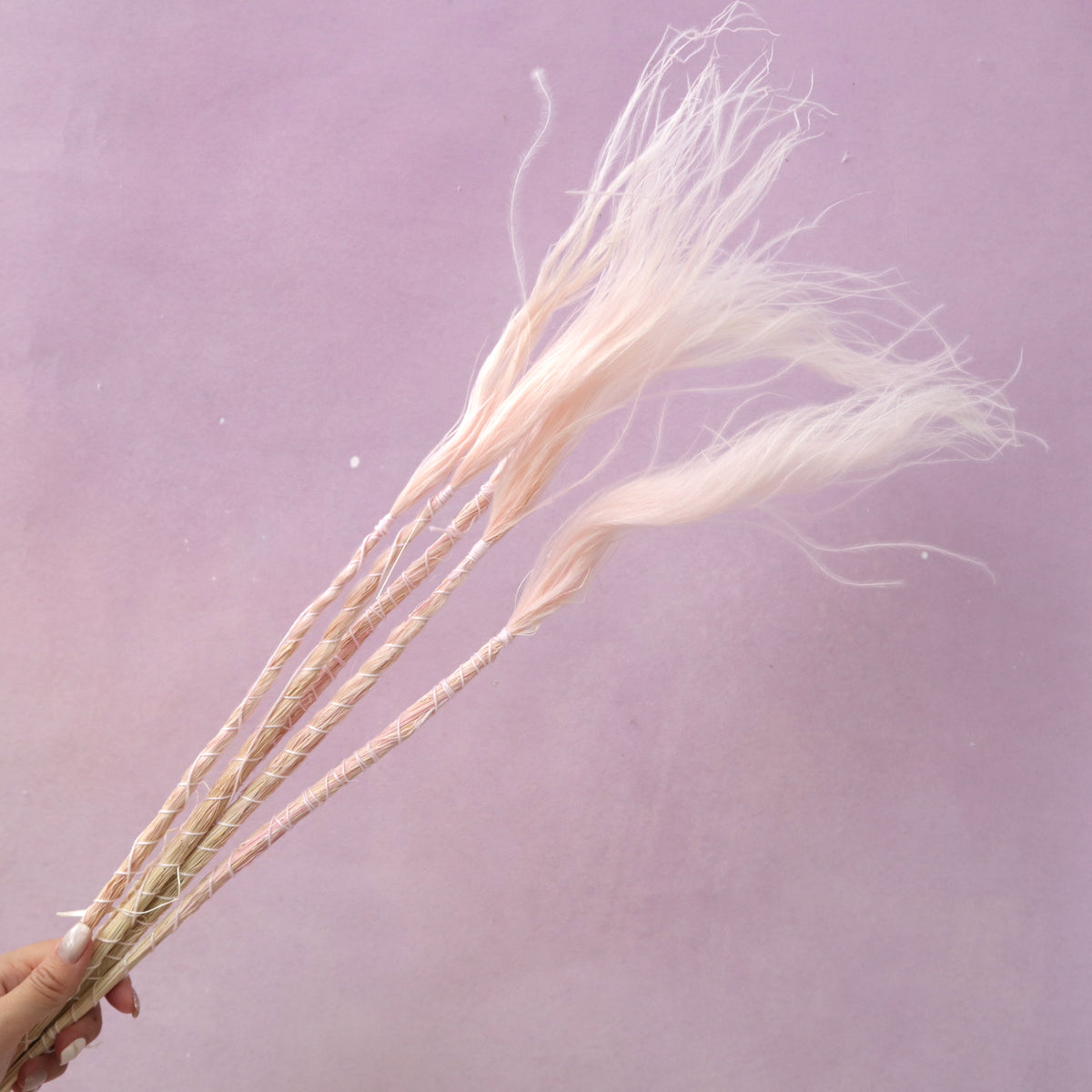 Long Stem Feather Grasses Baby Pink