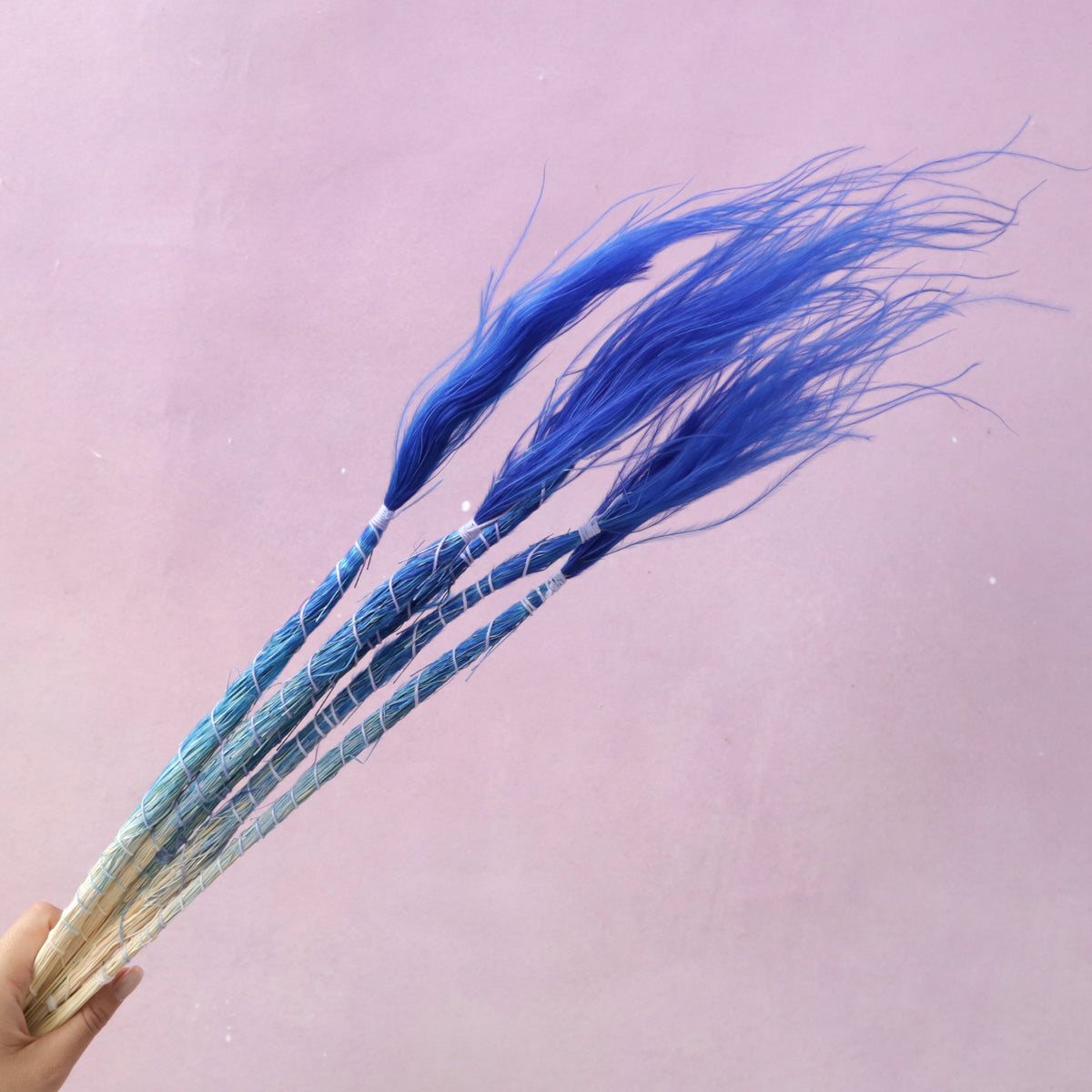 Long Stem Feather Grasses Royal Blue
