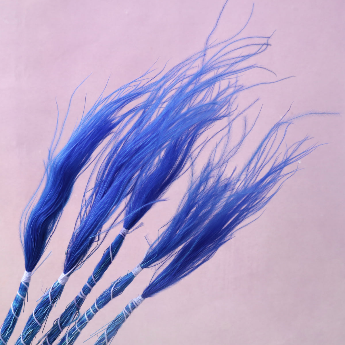 Long Stem Feather Grasses Royal Blue