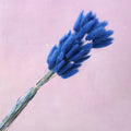 Bunny Tails Royal Blue