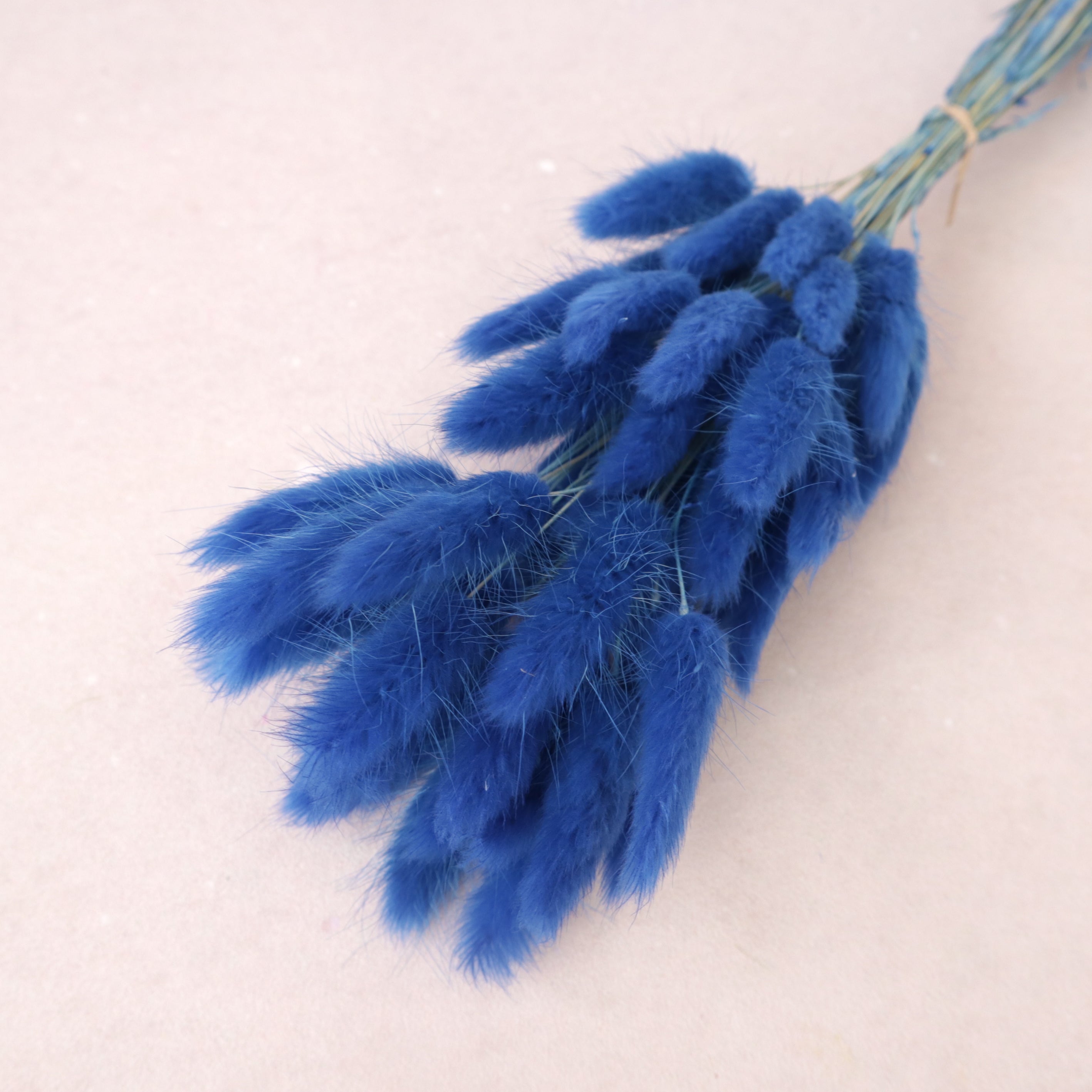 Bunny Tails Royal Blue