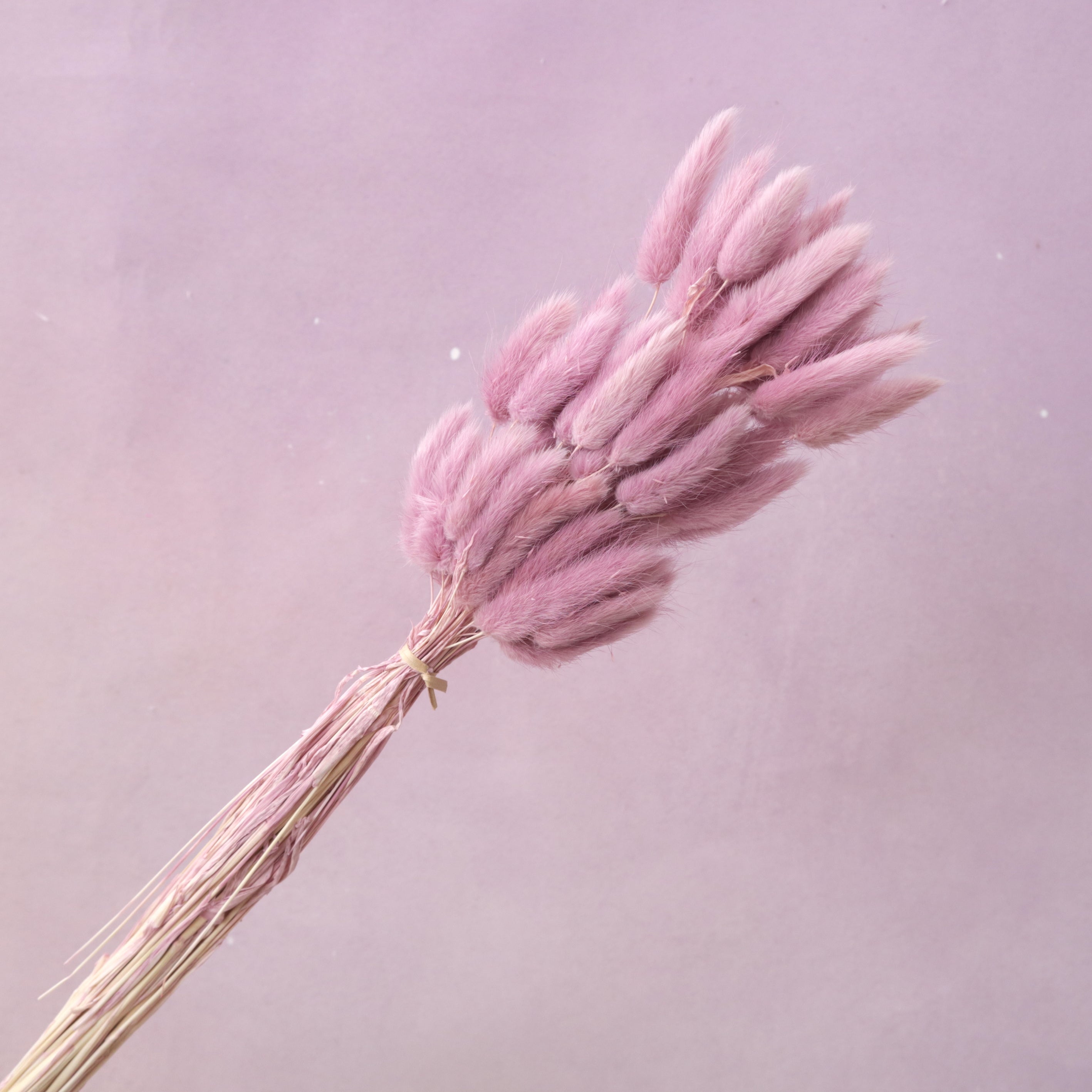 Bunny Tails Mauve