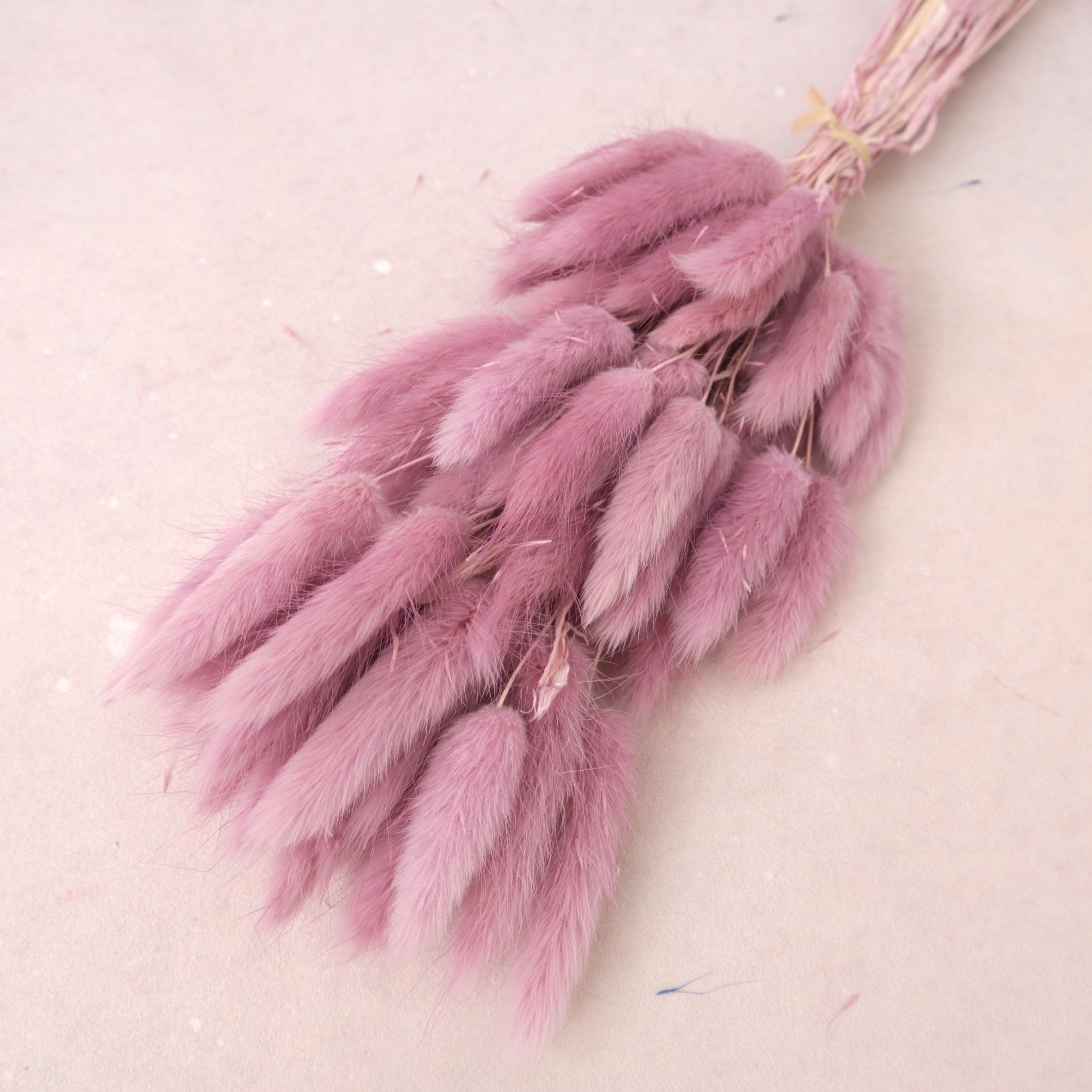Bunny Tails Mauve