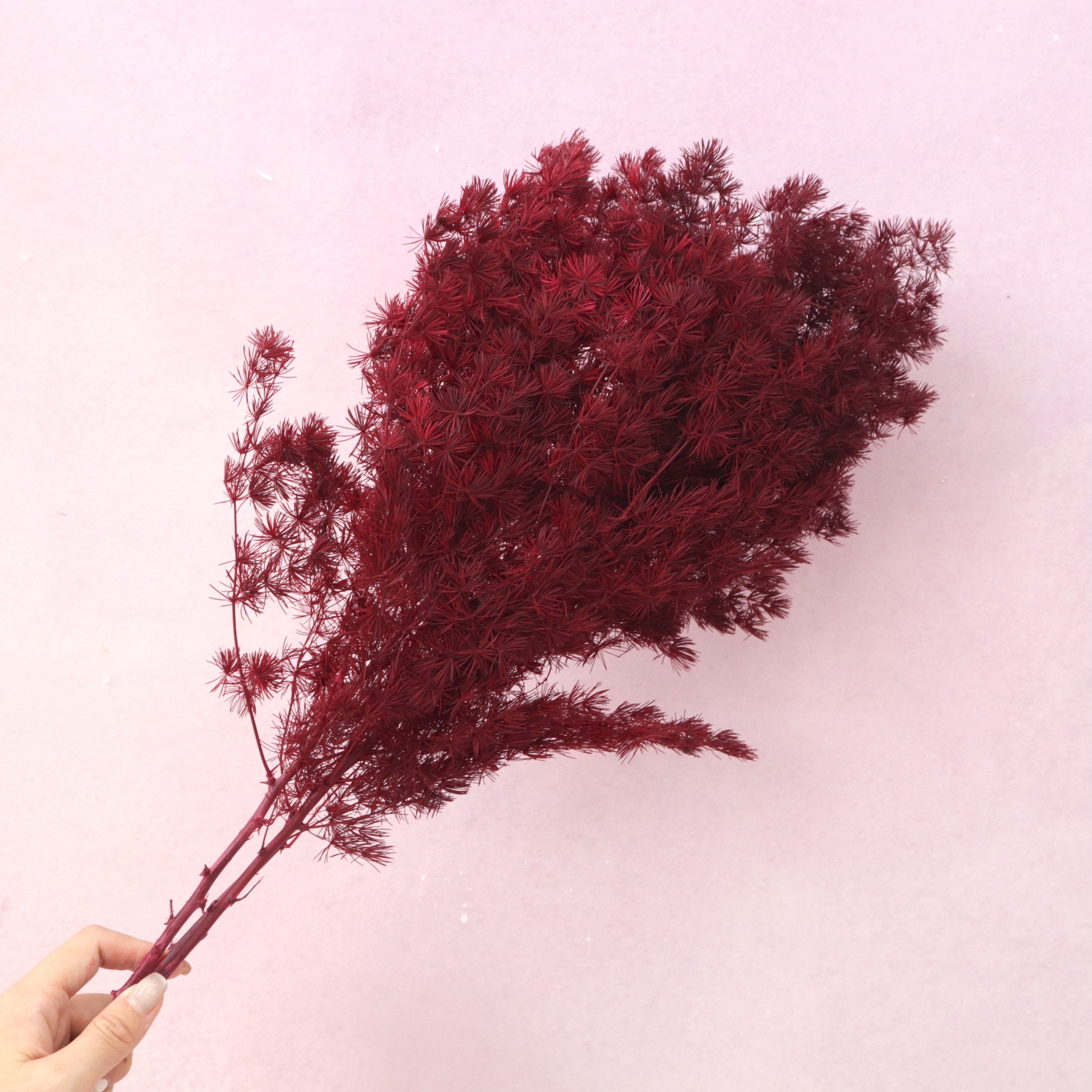 Ming Fern Wine Red