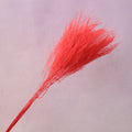 Tiki Fern Red