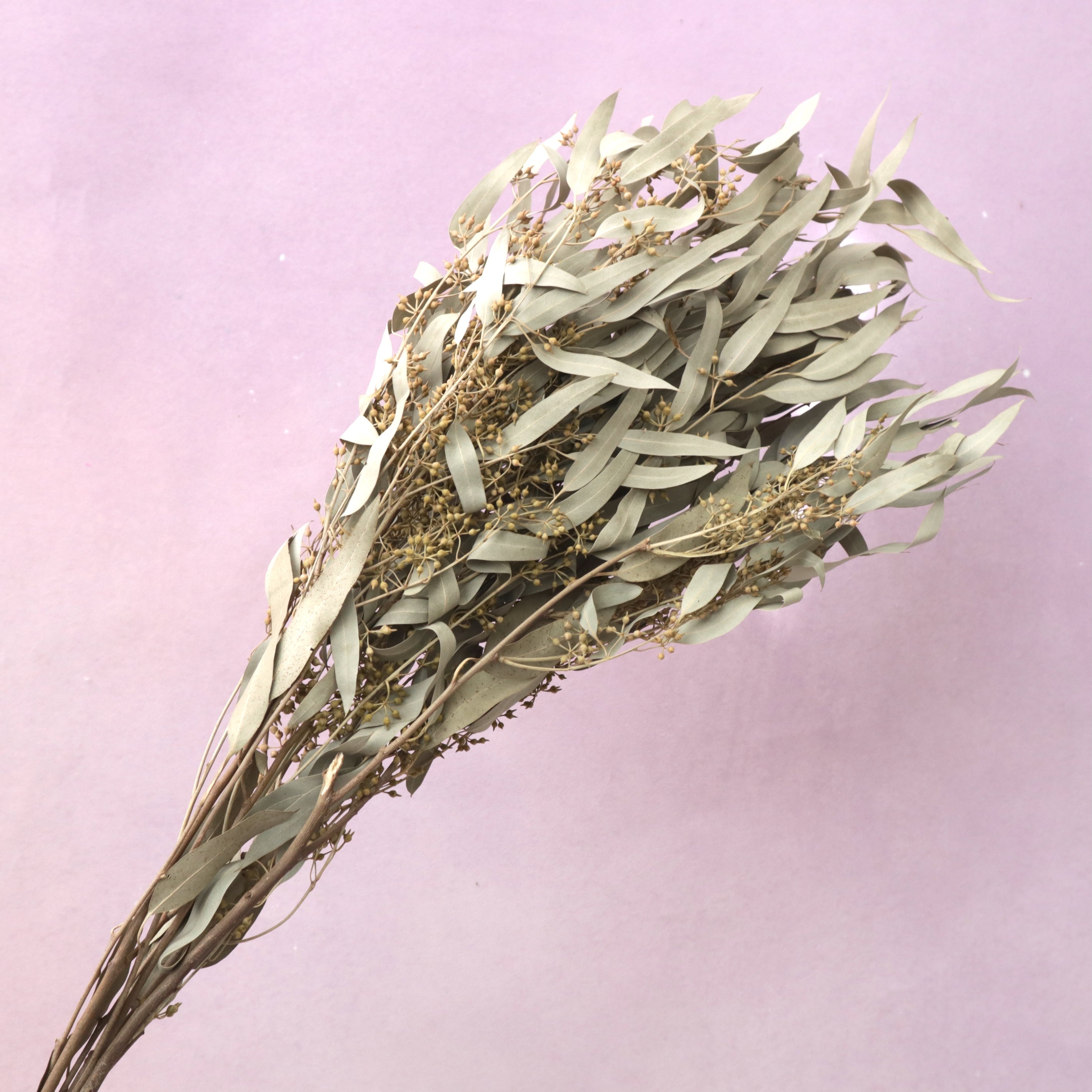 Seeded Gum Natural