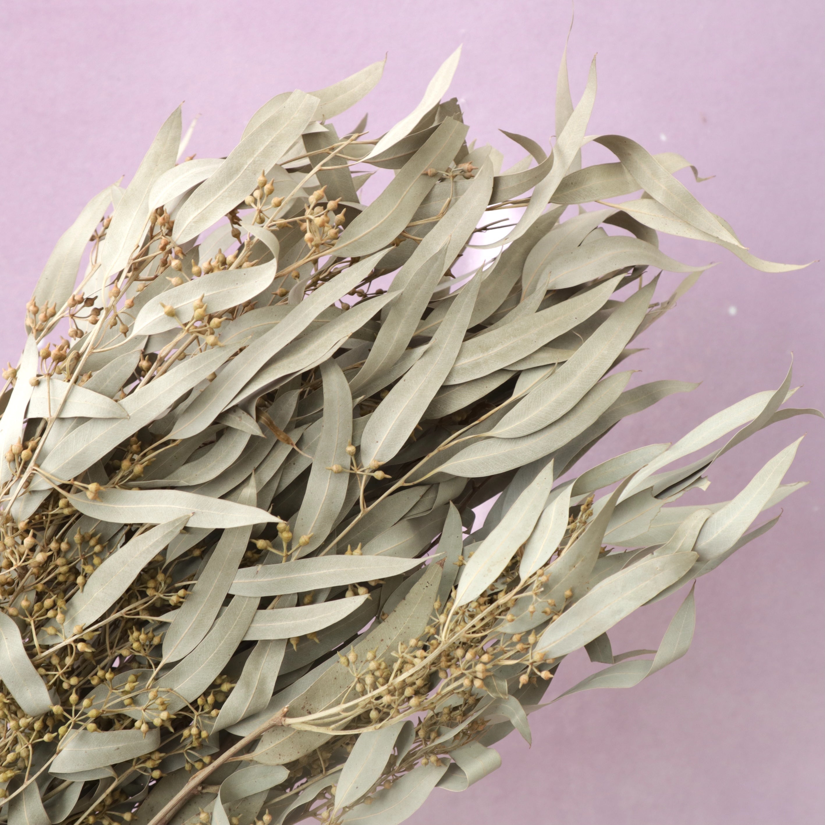 Seeded Gum Natural