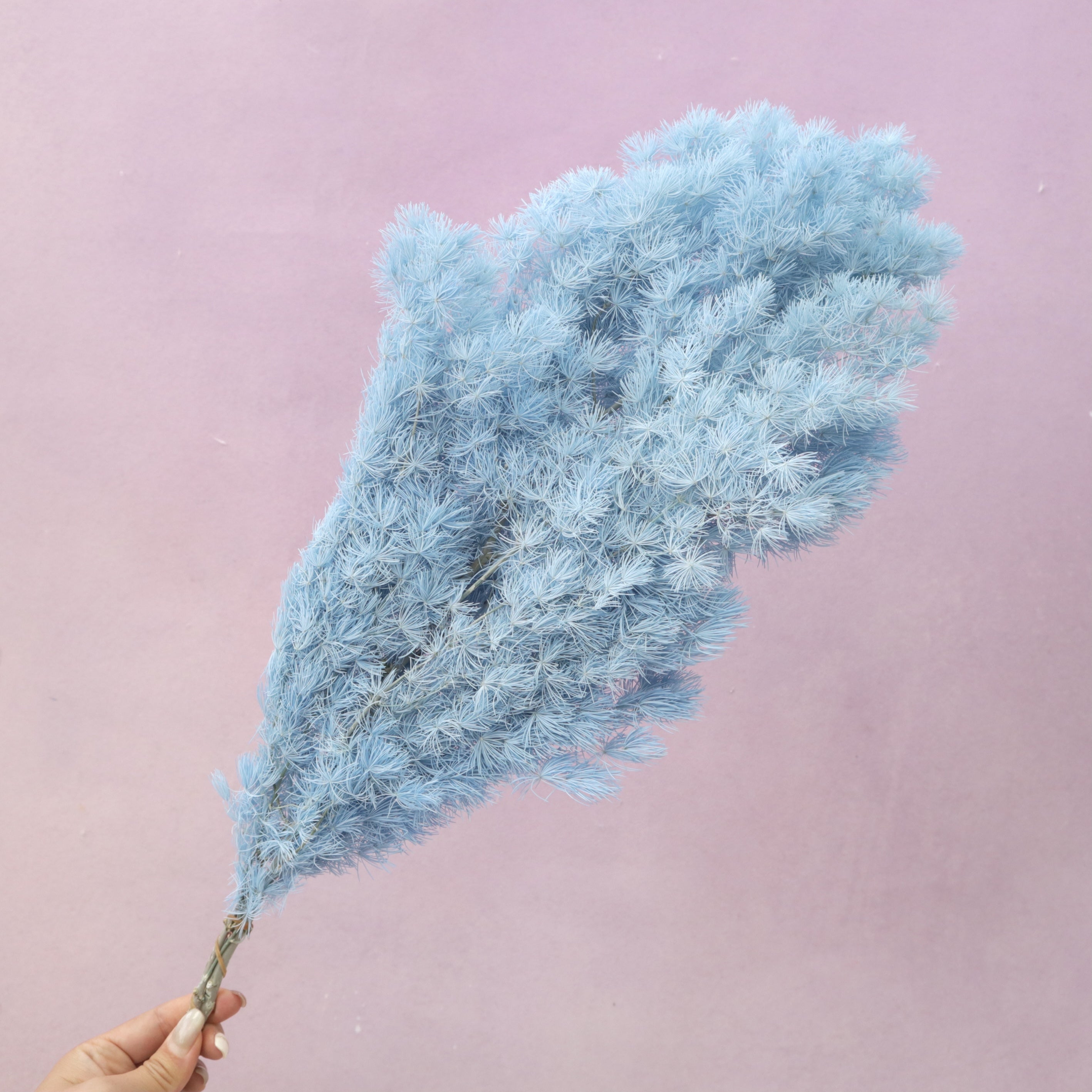 Ming Fern Sky Blue