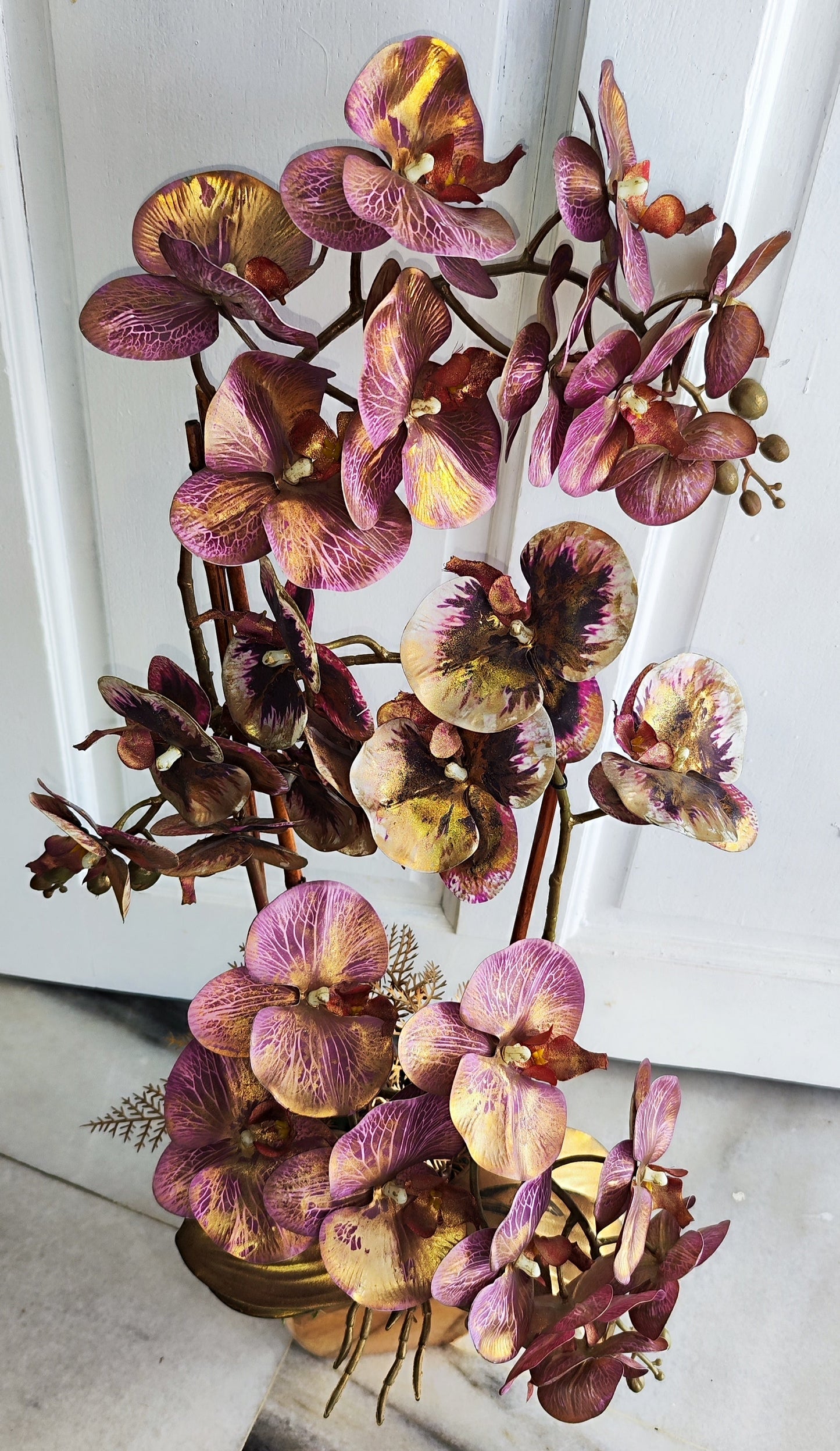 top view orchid