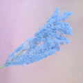 Ming Fern Powder Blue