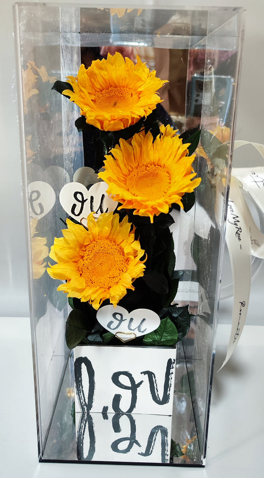 Triple Delight (Golden Sunflower)
