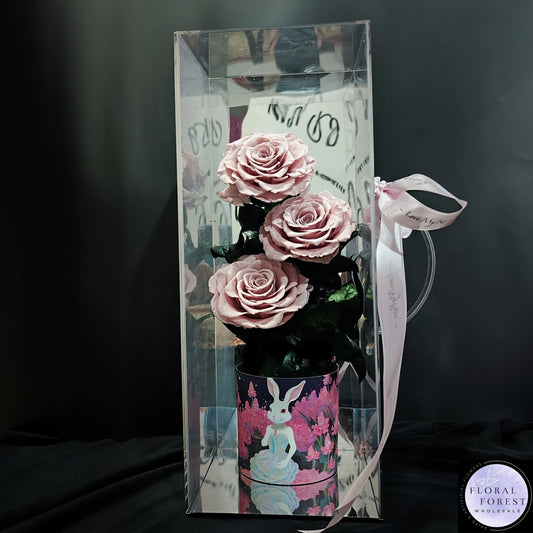 Roses in Acrylic Box